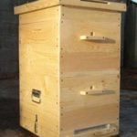 “COAT” FOR THE HIVE