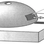 CALLING IN A WHISPER