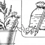 WHILE YOU ARE ON VACATION