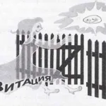 NOT THE SPRING AND GRAVITY