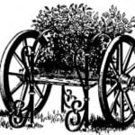 FLORAL CHARIOT