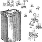 SAUNA FOR BEES