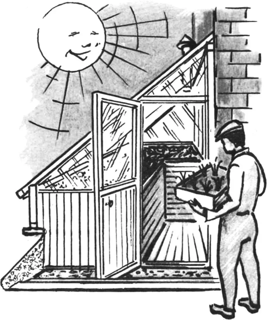 WALL GREENHOUSE
