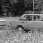 ON THE ROAD WITH THE DACHA