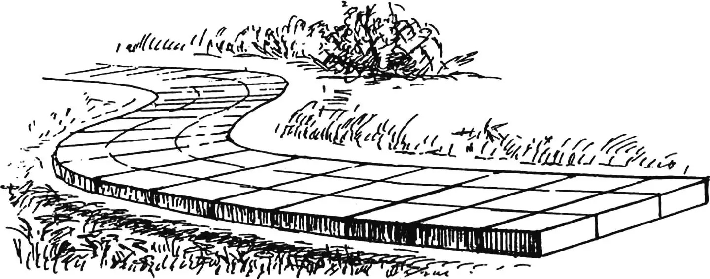 BOTH A PATHWAY AND DRAINAGE