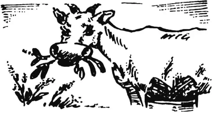 “CUTTER” IN JUST A FEW MINUTES