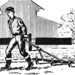 DUTCH-STYLE POTATOES