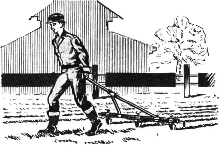 DUTCH-STYLE POTATOES