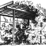 SIEVE… FROM THE SUN