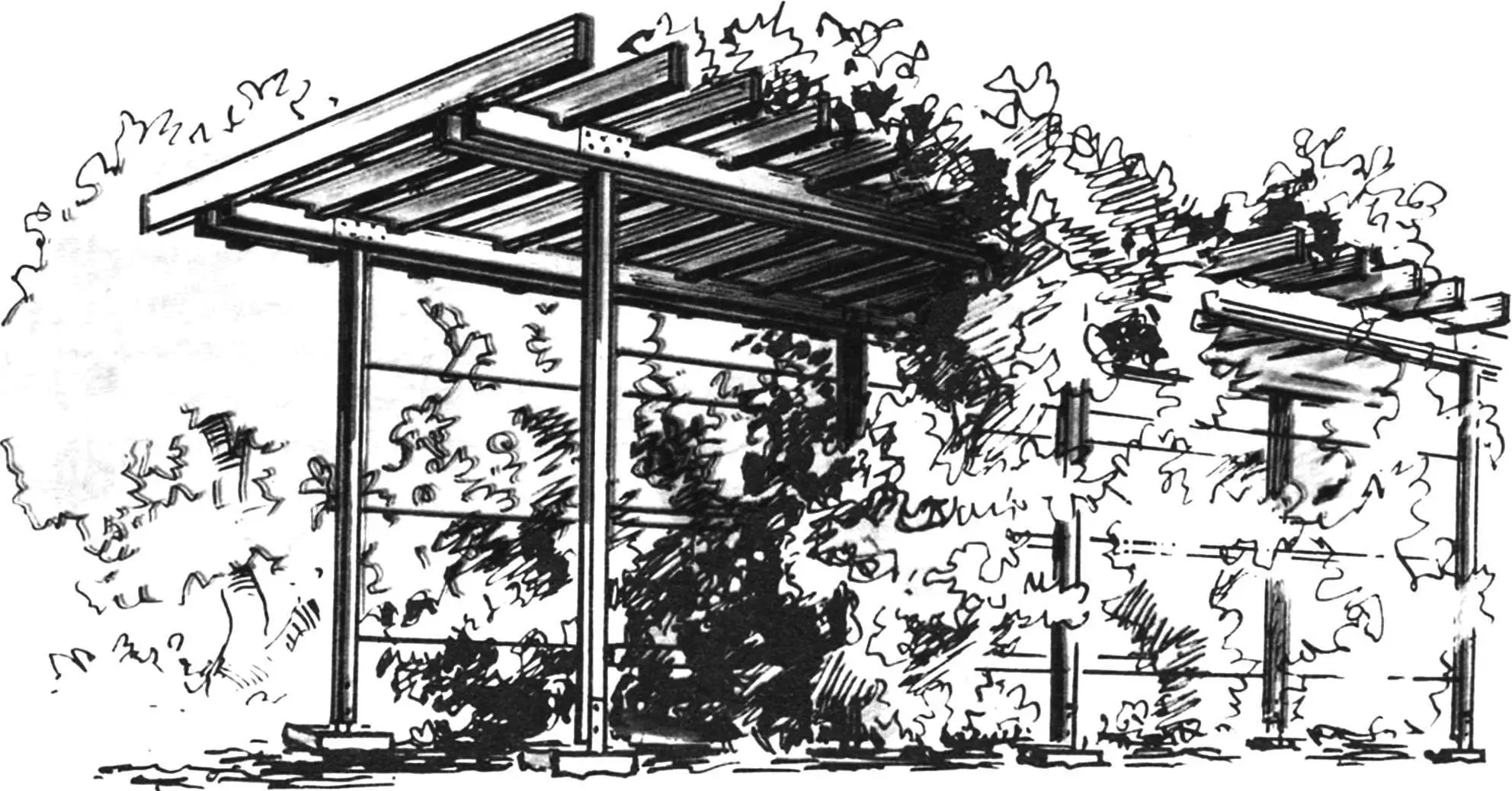 SIEVE… FROM THE SUN