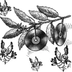 GARDEN AND VEGETABLE PLOT “TRINKETS”