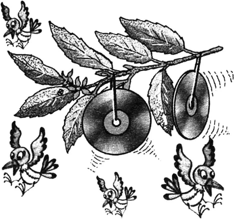 GARDEN AND VEGETABLE PLOT “TRINKETS”