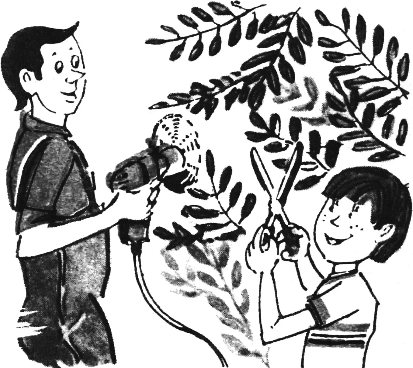 TRIMMING SHRUBS WITH A DRILL