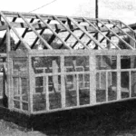 VEGETABLE “KINDERGARTEN”