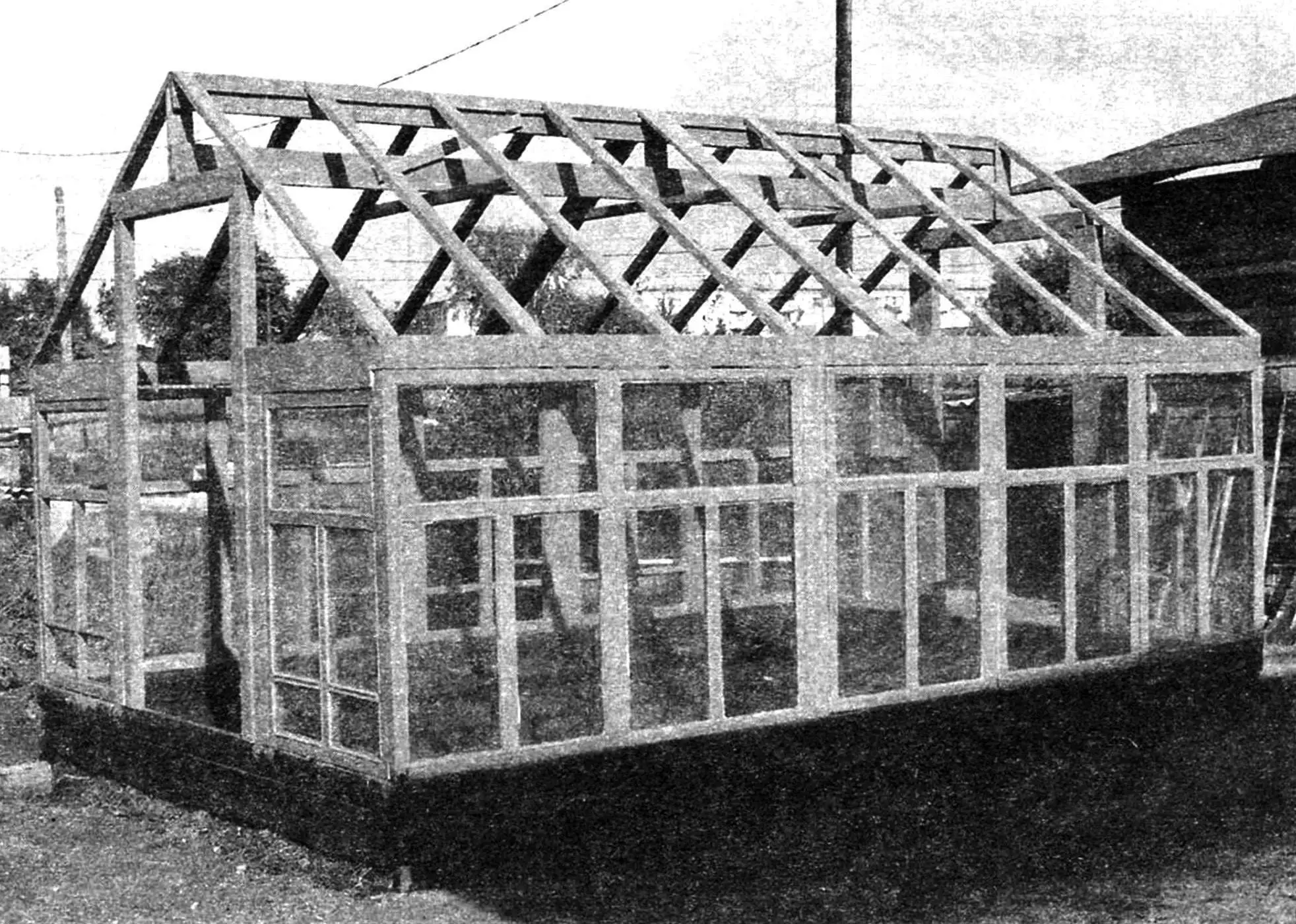 VEGETABLE “KINDERGARTEN”