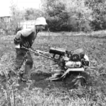 BOTH PLOWMAN AND CARTER