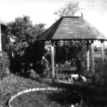 CANOPY FOR A BARBECUE GRILL