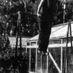 INSTEAD OF POSTS — BRACES