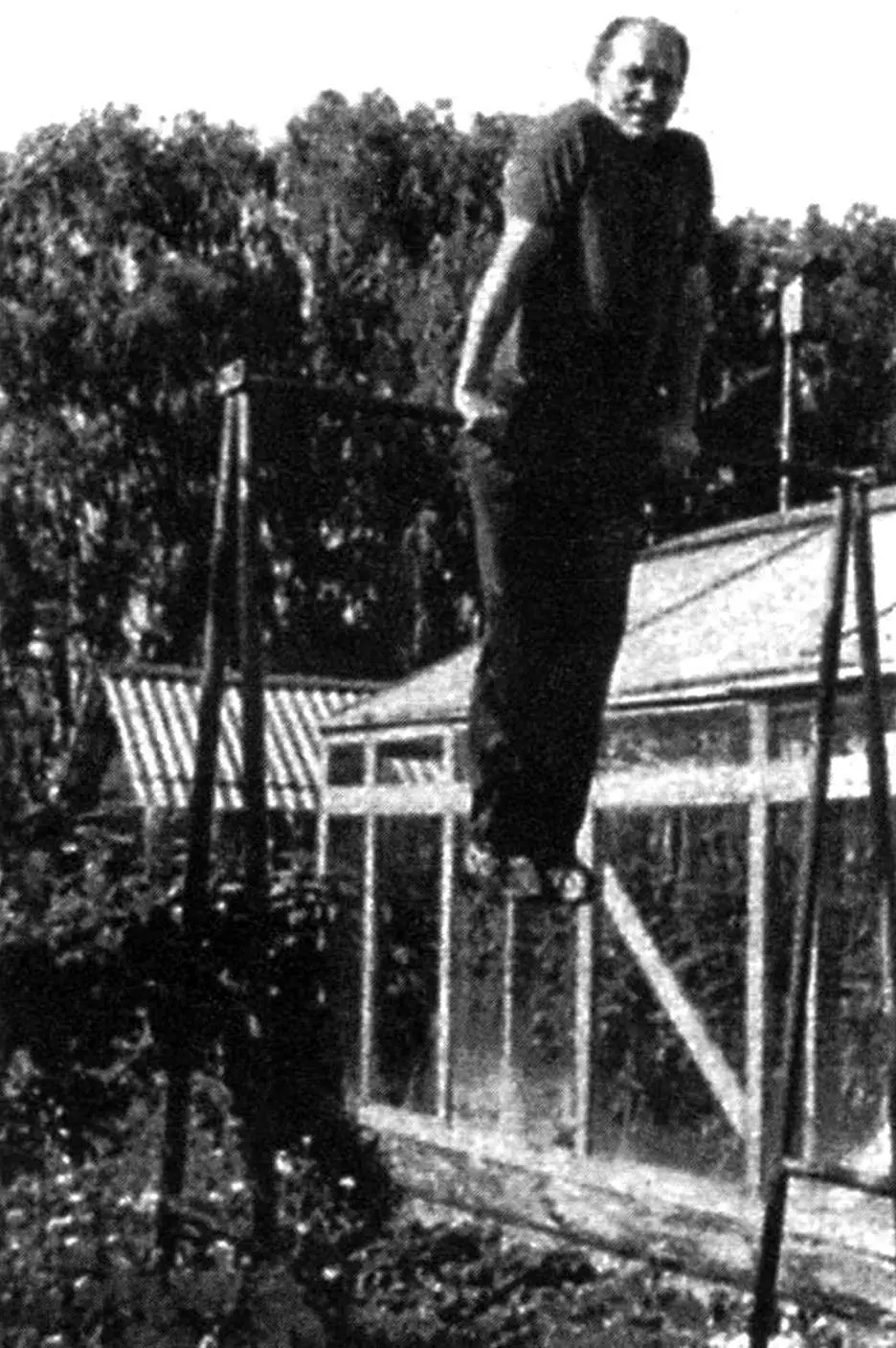 INSTEAD OF POSTS — BRACES