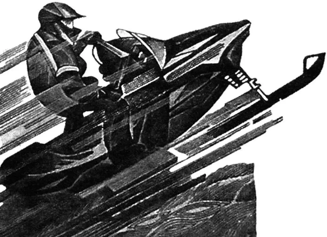 A SNOWMOBILE FOR EVERYONE