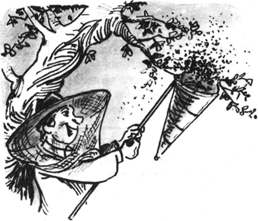 AND THE SWARM — IN A BAG