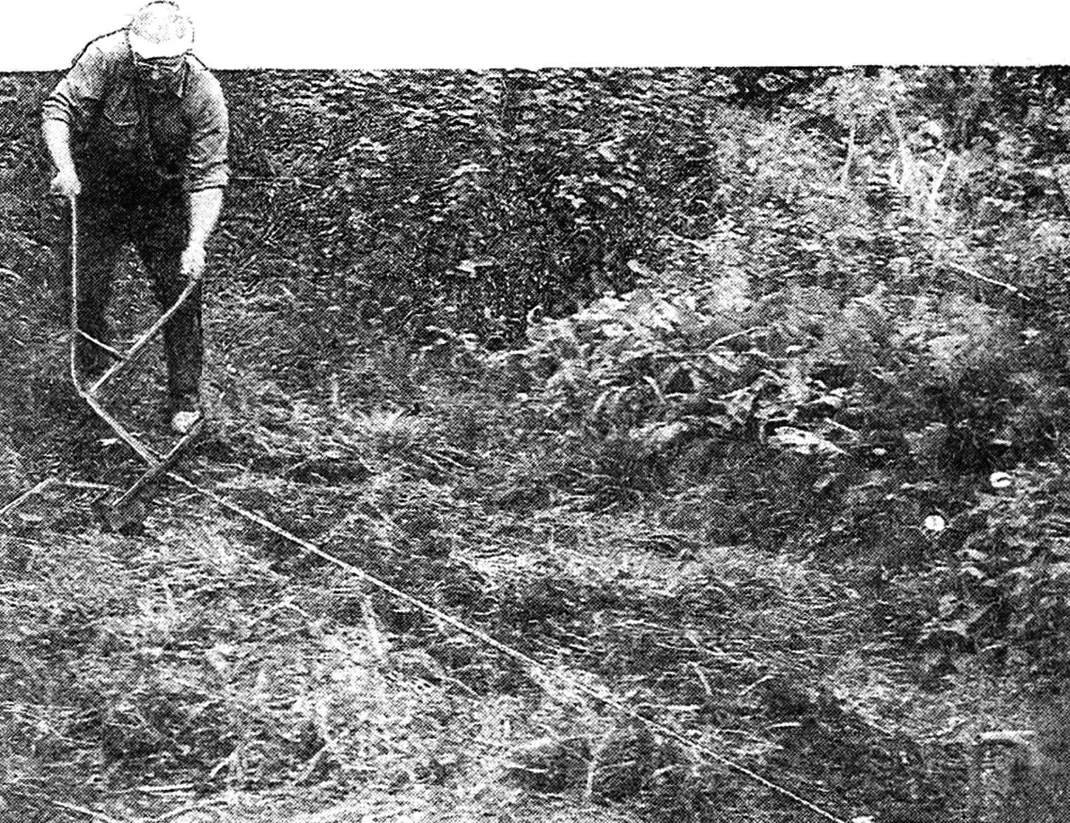 WINCH: PLOWMAN, ROOT PULLER, AND… MINER