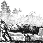 “Little Donkey” wants to go on a hike