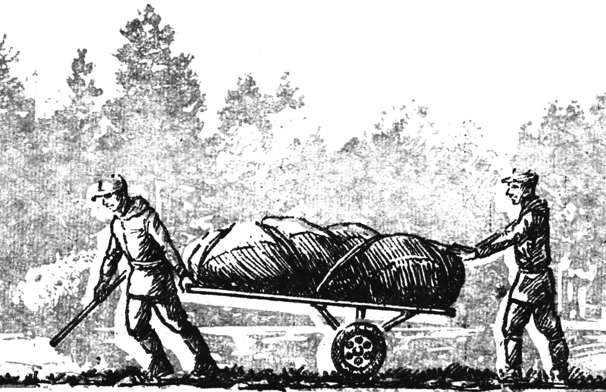 Universal cart for water tourists