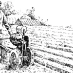“Vyatich” motor-cultivator