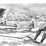 Gliding over the waves