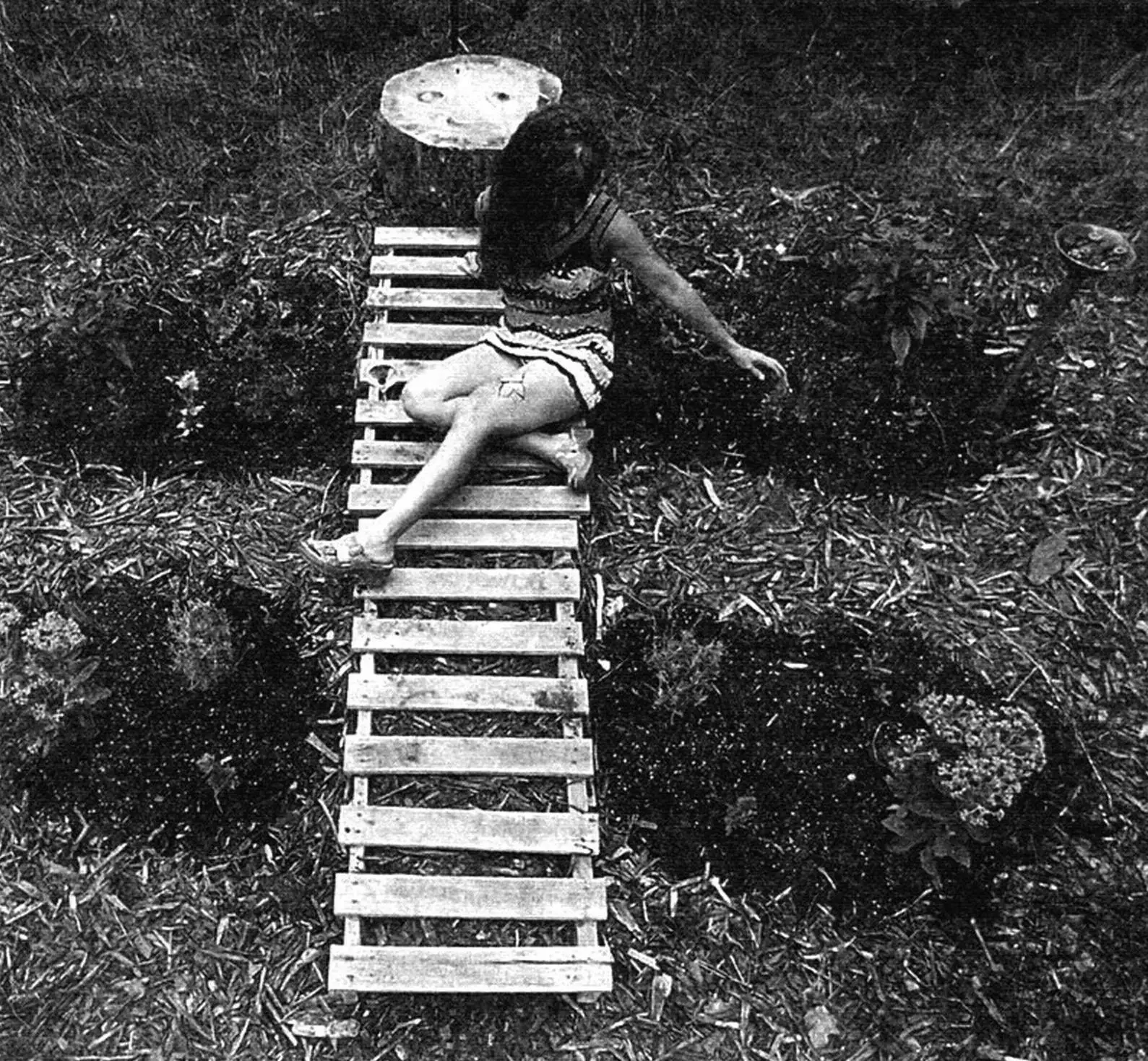 Butterfly Garden Rest Area: DIY Dacha Project Guide