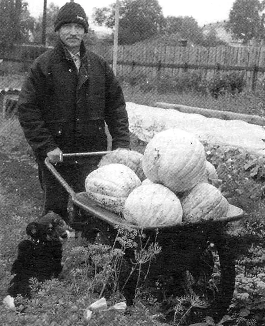 Heavy-Duty Wheelbarrow from Scrap Metal: DIY Guide