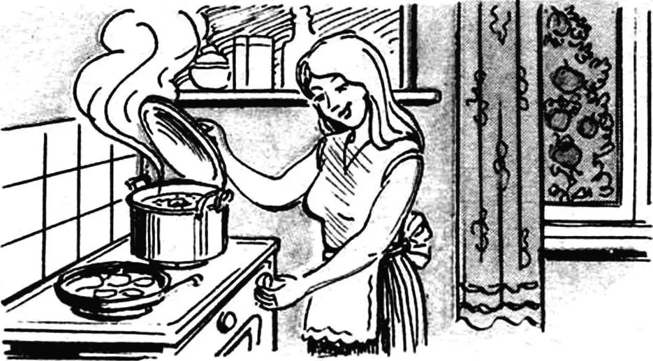 Biogas plant for producing methane from manure