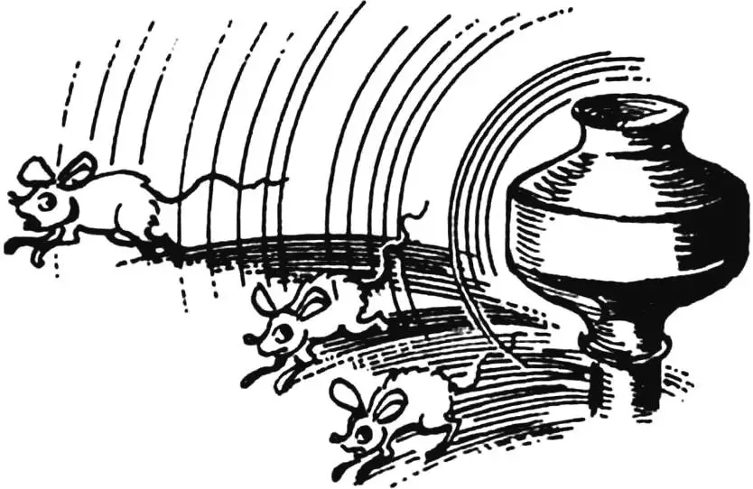 Ultrasound: Nature, Tech & DIY "Antigryzun" Rodent Repeller