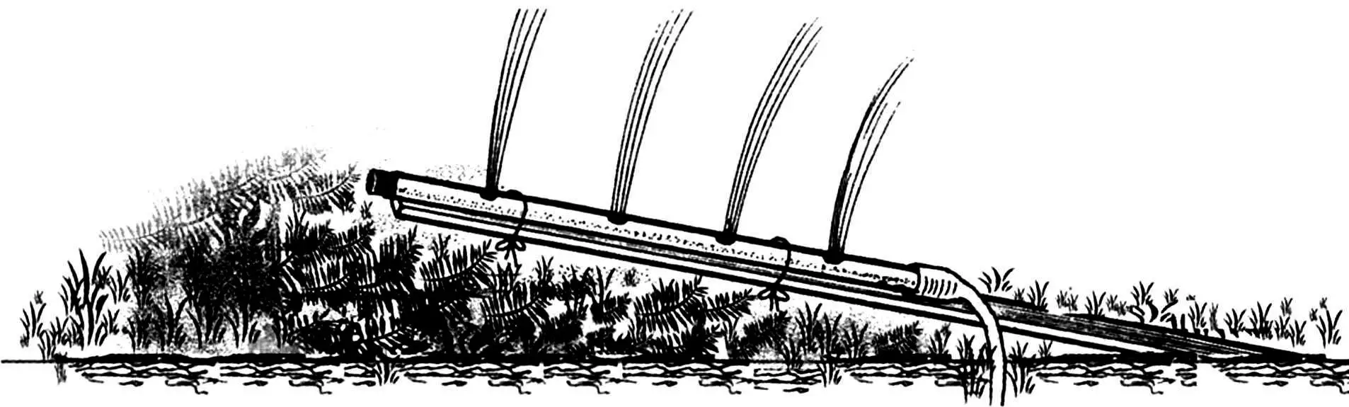 DIY garden watering: a mini irrigation system for a summer cottage