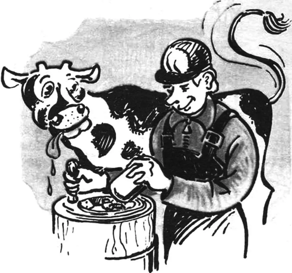 DIY farm, poultry and beekeeping tools