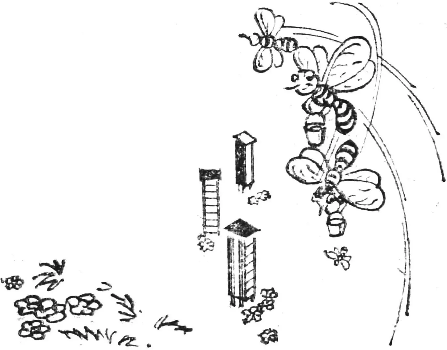 Cassette Beehive: Construction, Assembly and Care