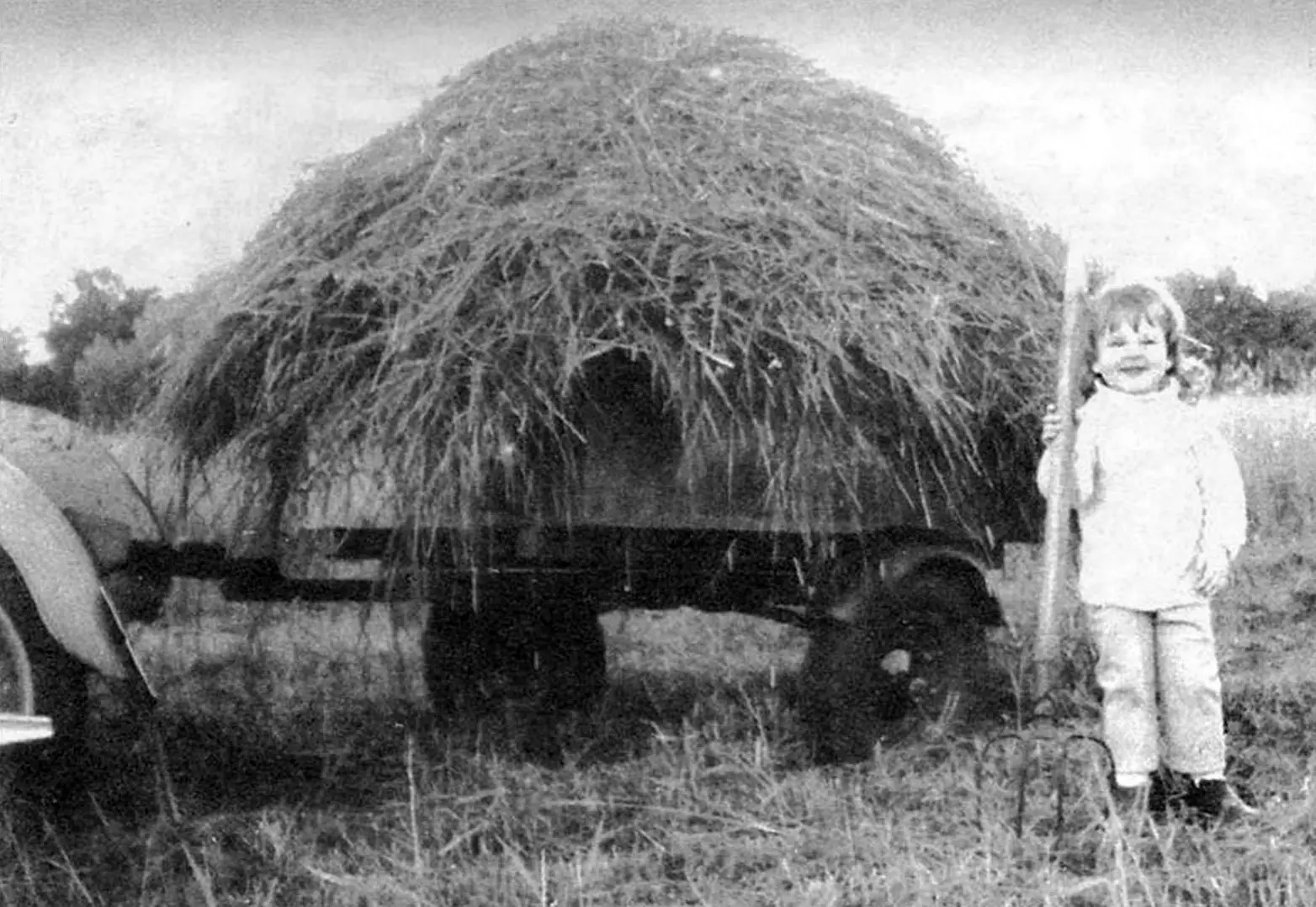 Motorcycle side trailer: leaf-spring without shock absorbers