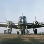 “Flying hippopotamus”