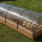 Solar-powered dryer