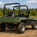 Teen buggy
