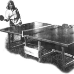 Ping-pong on the lawn