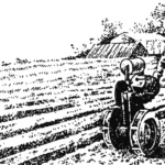 “Little One” cuts the furrow