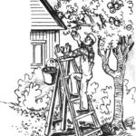 Ladder + ladder = step ladder