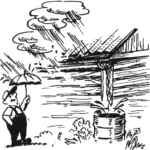 Taming Rainwater