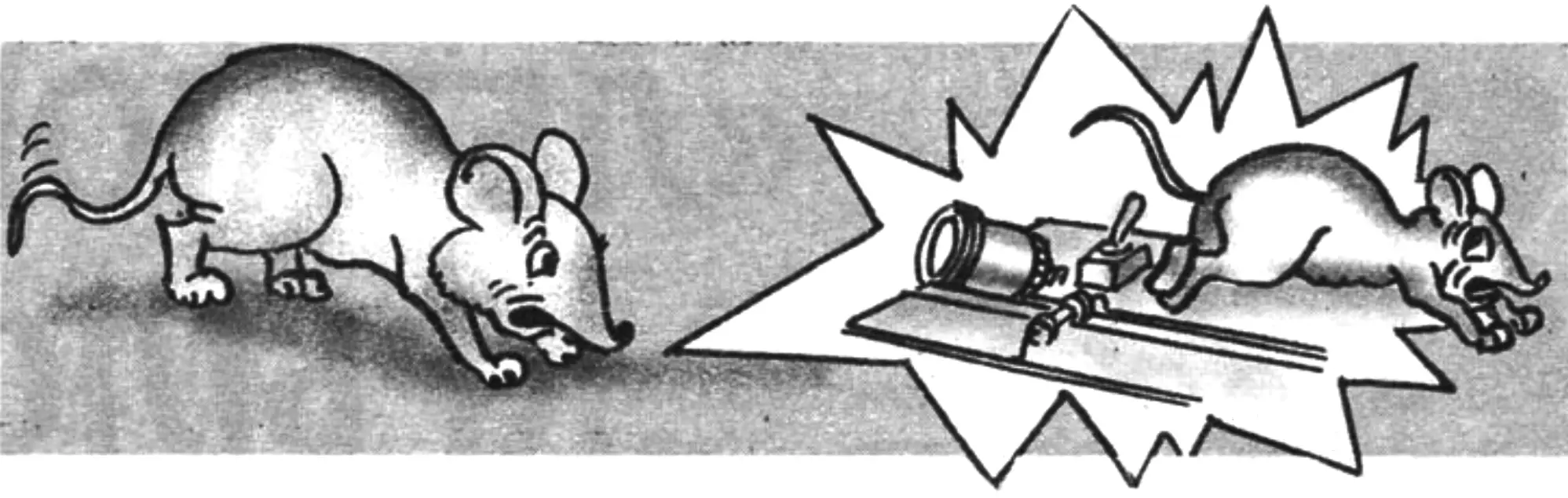 DIY capacitor electromine vs rats: circuit guide