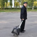 Tiny Cart