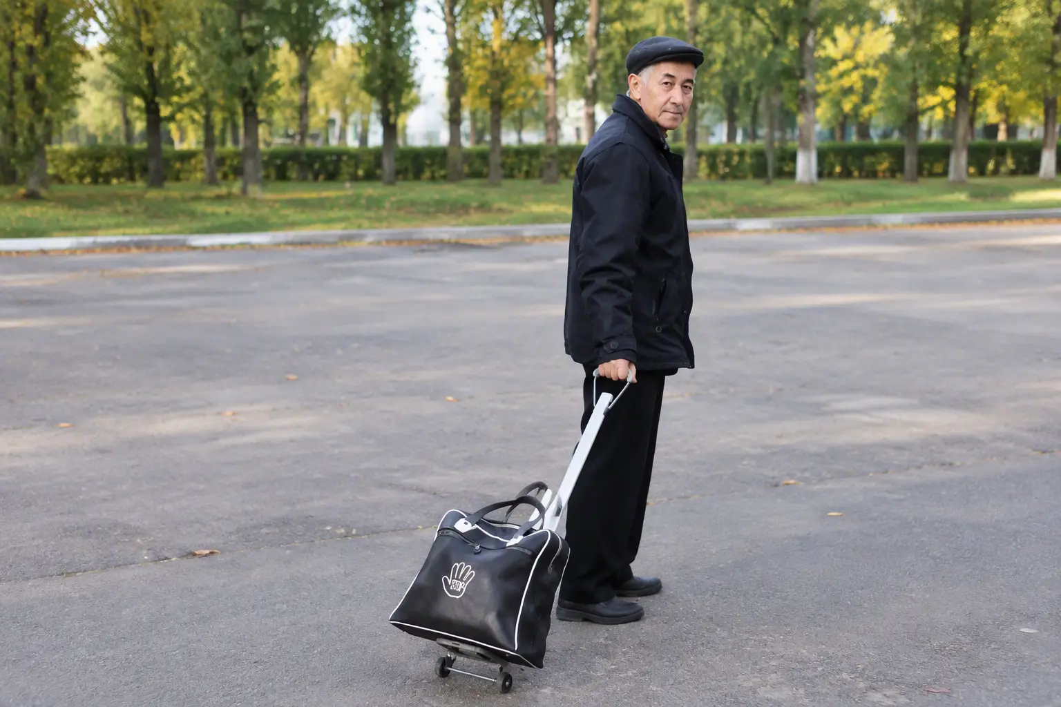 Tiny Cart mini hand trolley: light 25 kg utility cart
